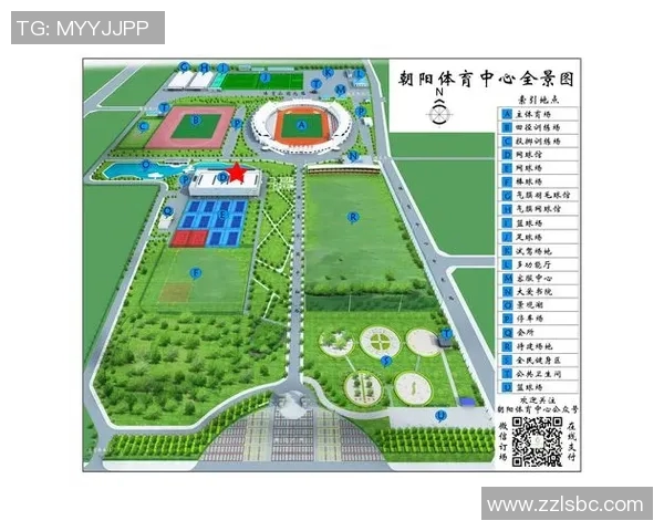 杭州网球队的拼搏历程与荣耀时刻全景回顾 杭州网球队的拼搏历程与荣耀时刻全景回顾