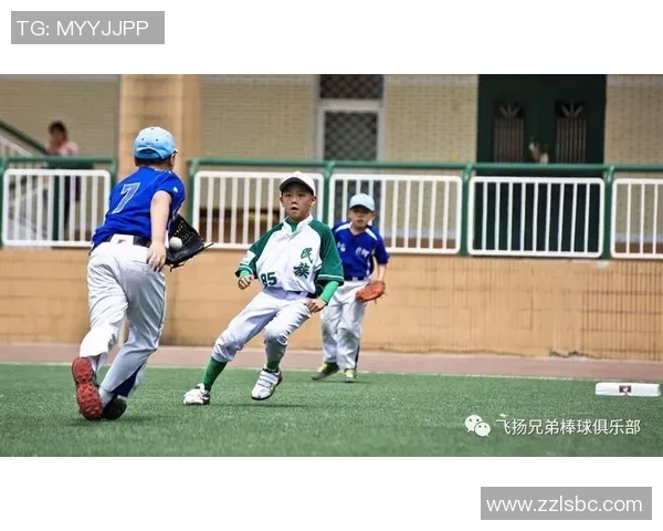 羽毛球的奋斗与荣耀：西安羽毛球队的成长与突破之路