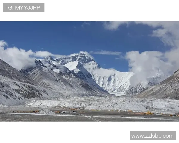 深度对话：周丽如何在排球人生中追逐梦想与挑战