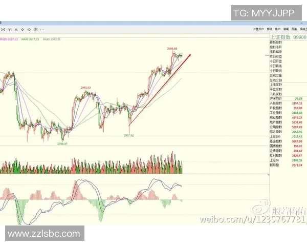 西安羽毛球队防守策略解析与战术创新探讨